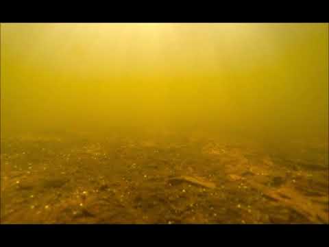 Vídeo: Lago Nyos. Camerún - Vista Alternativa