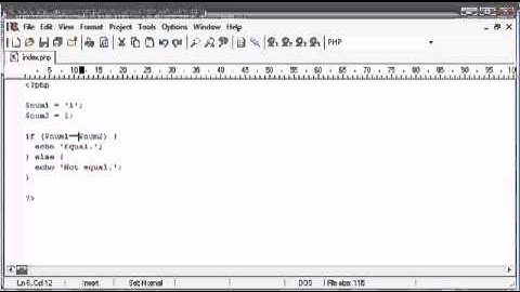 Beginner PHP Tutorial   24   Triple Equals