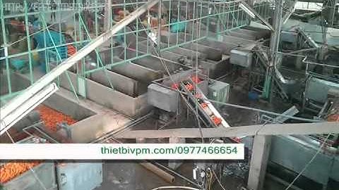 Máy rửa cà rốt  con lăn bàn chải