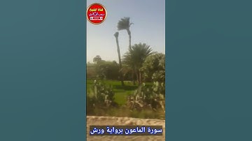 سورة الماعون برواية ورش 👌❤