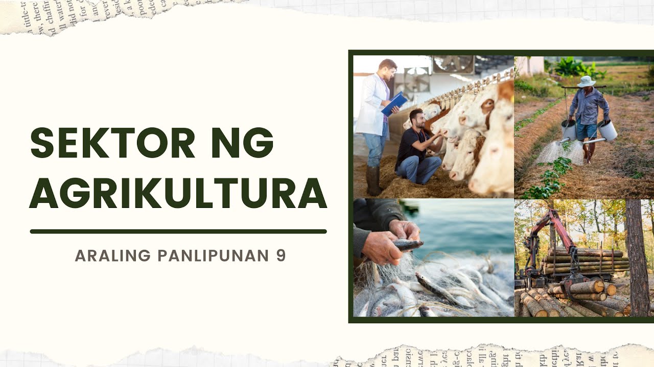 Mga Gawain Ng Sektor Ng Agrikultura At Halimbawa Nito