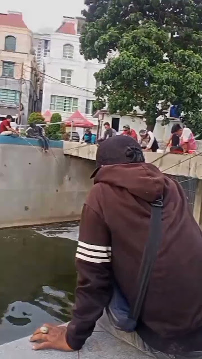Mancing ikan nila cocok buat story wa status wa