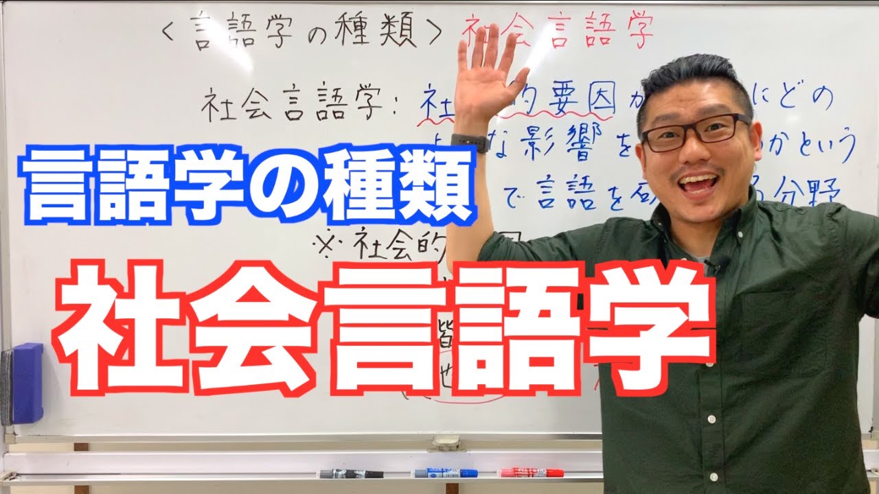日本語教育におけるメタ言語表現の研究 シリーズ言語学と言語教育 39