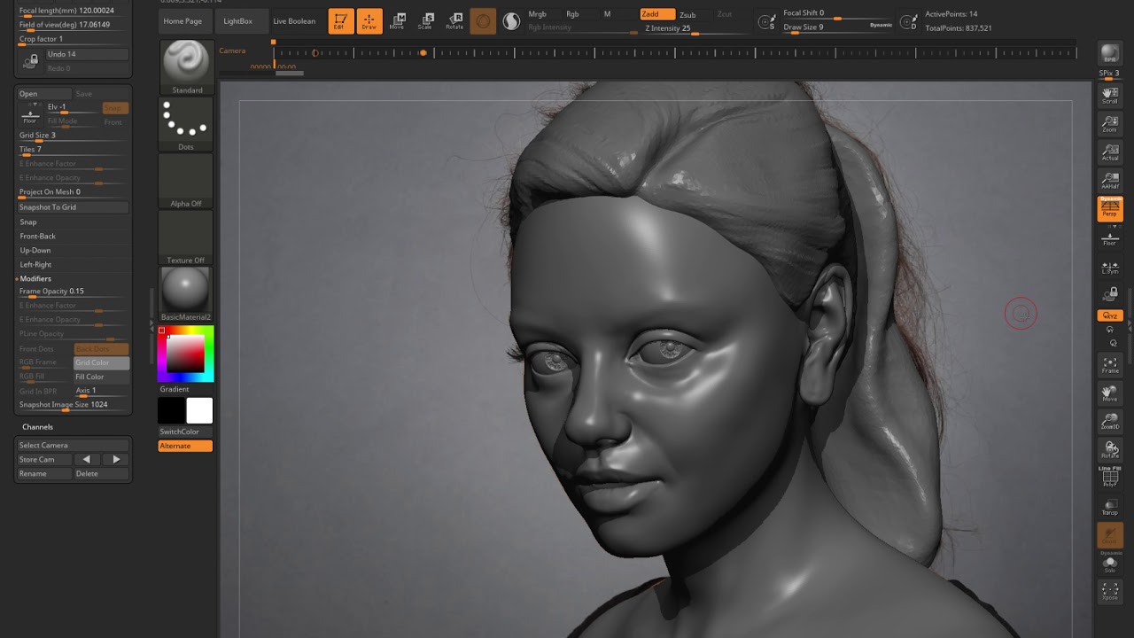 zbrush center camera