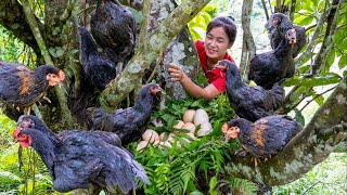 Harvest JUNGLE CHICKEN goes to the market sell | Ella Daily Life