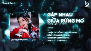 Gặp Nhau Giữa Rừng Mơ (TVT Remix) - Hương Ly 🎼 Mặt Trời Hồng Lưng Vách Núi Lững Lờ Làn Mây Trắng