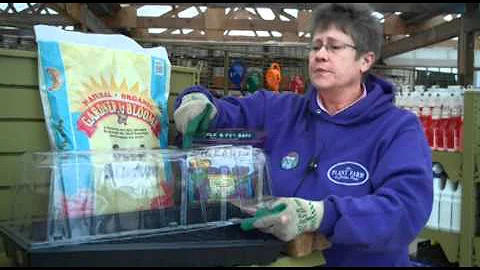 Seed Starting Success Kits