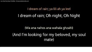 Miniatura del video "Desert Rose Lyrics - Sting ft. Cheb Mami (ALL WORDS in Arabic + English and translation)"