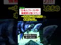 フィフィ 日本人ファーストを叩く候補者は落とそう 叩いてる人たちの本音がコチラ フィフィ 日本人ファーストを叩く候補者は落とそう 叩いてる人たちの本音がコチラ