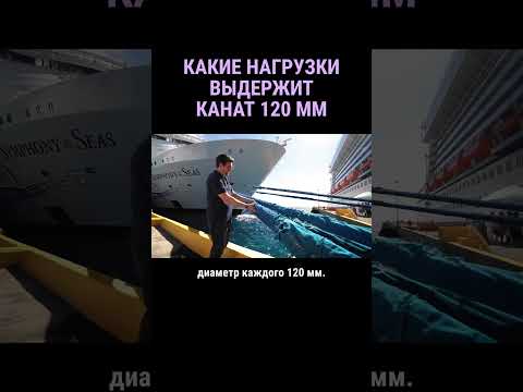 Какие нагрузки выдерживает канат диаметром 120 мм #shorts