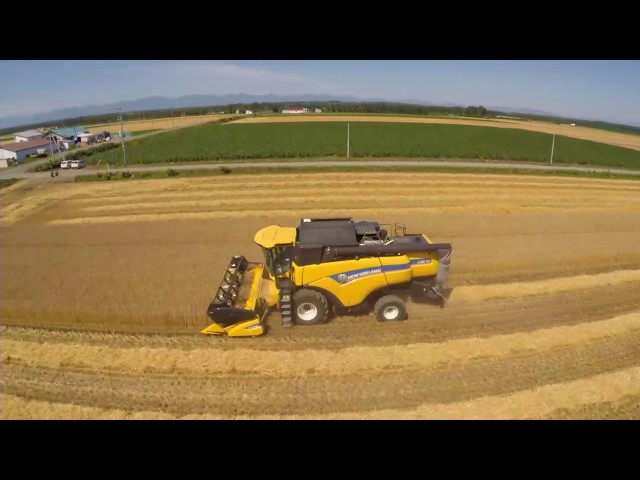 音更町 小麦収穫 New Holland CX8.70 - YouTube