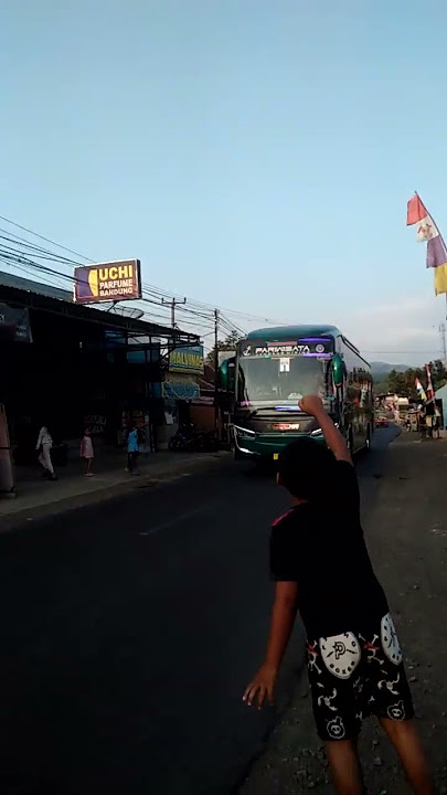 basuri no comment bus safana