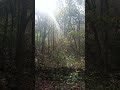 gudguda waterfall scenery//02/05/26