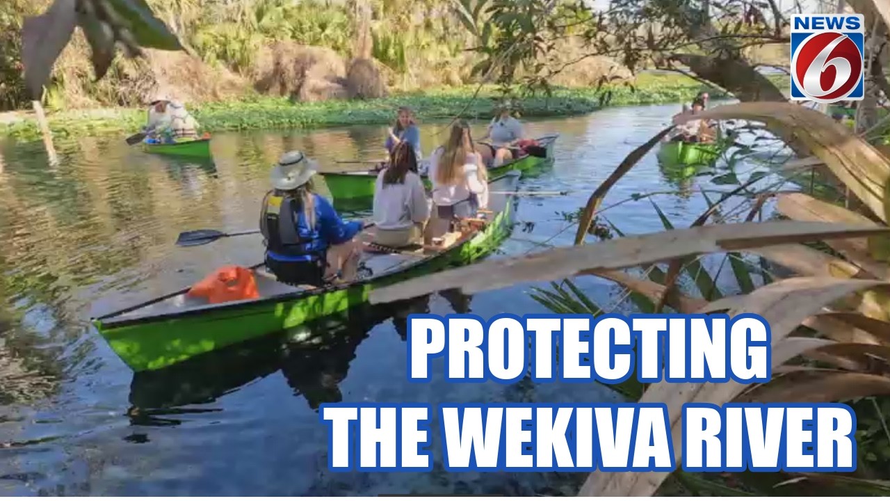 Community scientists help protect Wekiva River through regular testing
