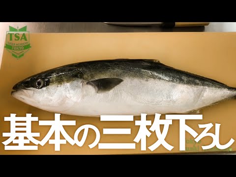 魚のさばき方 基本の三枚下ろし How To Fillet A Fish 東京すしアカデミー Youtube