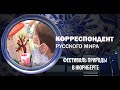 Корреспондент Русского мира. Фестиваль природы в Нюрнберге