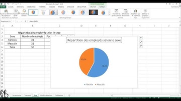 Diagramme circulaire (en secteur) avec Excel 2013