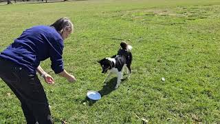 Making New Friends at the Park