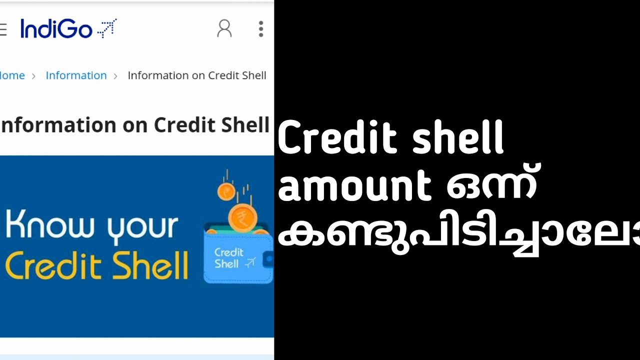 Credit shell indigo how to check status of credit shell