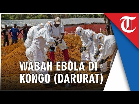 Video: Skvortsova Menunjukkan Bahawa Wabak Zika Dan Ebola Disebabkan Secara Artifisial - Pandangan Alternatif