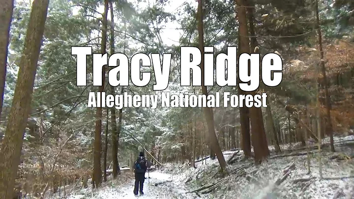 Tracy Ridge - Winter Backpacking Allegheny Nationa...