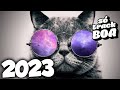 MÚSICA ELETRÔNICA 2023 🔥 SÓ TRACK BOA 🔥 Mais Tocadas - Alok, Vintage Culture, Dubdogz & David Guetta