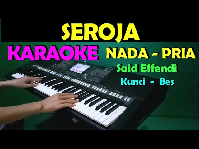 SEROJA - Said Effendi | KARAOKE Nada Pria | Lirik, HD class=