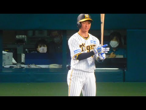 今日も先頭安打の近本光司 いつも通りの攻撃スタート