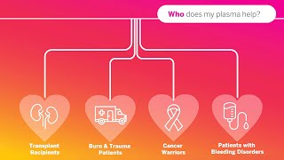 Plasma Donation Basics | Versiti Blood Centers