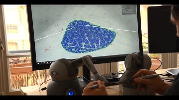 SofaAPAPI-Unity3D - Dual haptic devices interaction on deformable liver