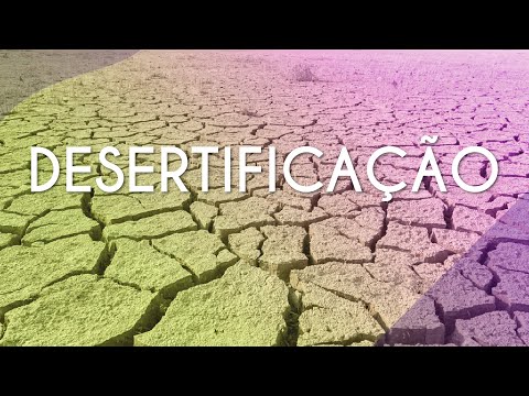 Vídeo: Como o excesso de agricultura causa a desertificação?