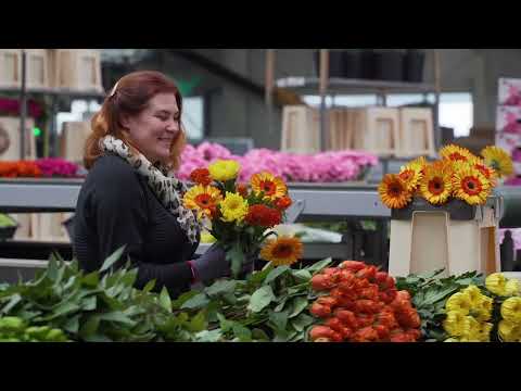 JZ Flowers - video from Bluestone98