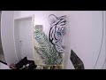 Tiger on the wall. Wallpainting brend.mira