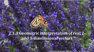 2.1.3 Geometric interpretation of real 2-  and 3-dimensional vectors