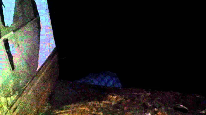 craig lane creepshow