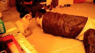 Mania, Bajka i szeleszczący tunel screenshot 2