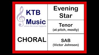 Evening Star (Johnson) SAB Choir [Tenor (at pitch) Part Only] screenshot 4