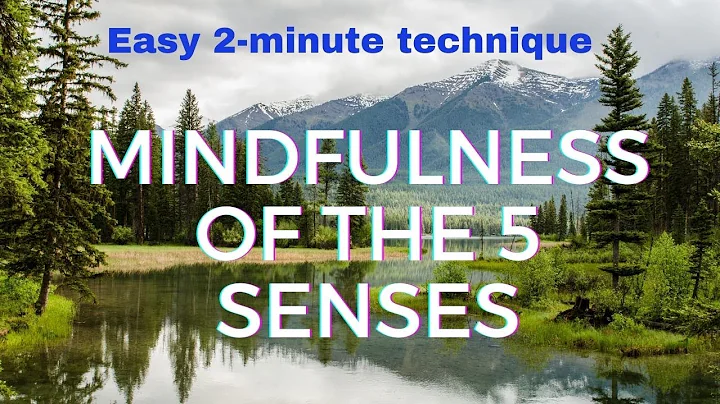 Mindfulness Of The 5 Senses | Easy 2 Minute Technique 2020