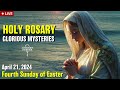 🔴 Rosary Sunday Glorious Mysteries of the Rosary April 28, 2024 Praying together