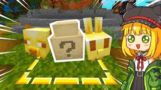 謎の卵から生まれたペットを育てるマインクラフト【 マイクラ / Minecraft 】