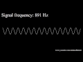 20hz to 20khz human audio spectrum