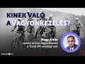 Kinek val a vagyonkezels