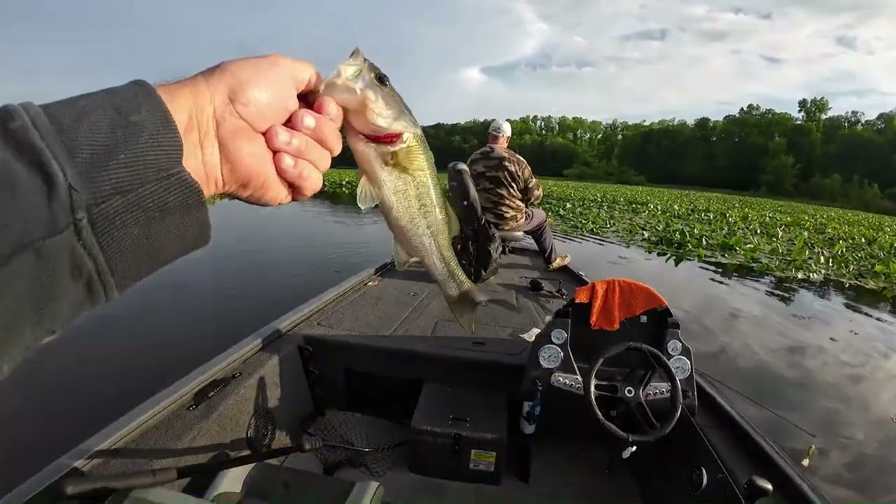 lake Rupert bass fishing week 4