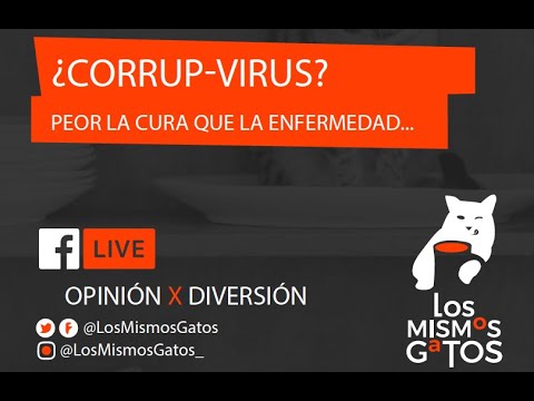la enfermedad del gato tiene cura