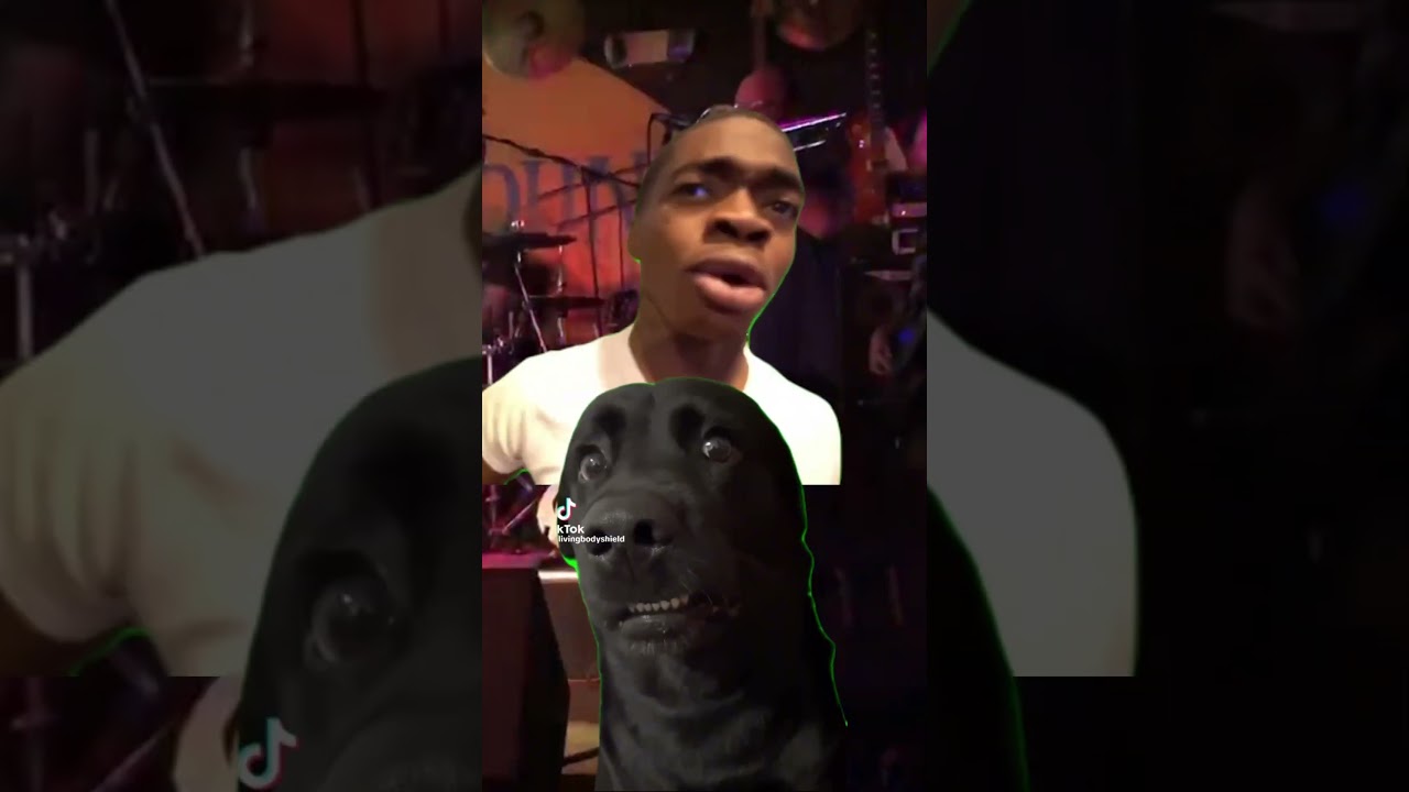 Why do you have a 📯 in the band?? 