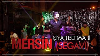 Şiyar Berwari - Mersin Düğünü 2024 شيار برواري Wedding