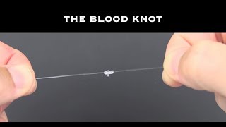 Tying The Blood Knot Tutorial