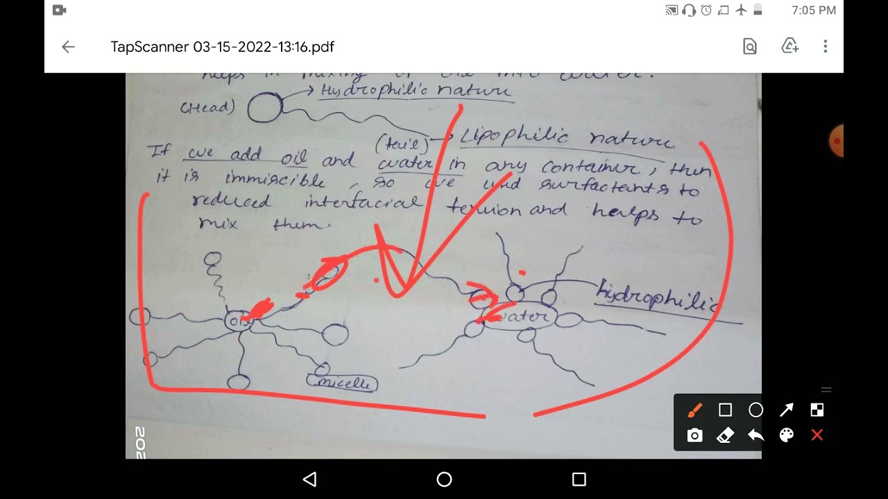 What is surface active agents( surfactants) ?|| Type of surfactant - Anionic, cationic, Amphoteric..