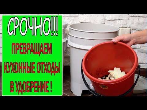 ДВА СУПЕР УДОБРЕНИЯ ИЗ КУХОННЫХ ОТХОДОВ!ПРЕВРАТИТЕ ОТХОДЫ В ДОХОДЫ!!!