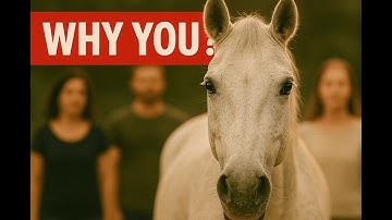 How Horses Choose Their Favorite Human — Explained by Science.
